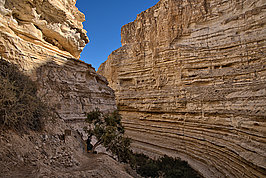 En Avdat (3v9)_t.jpg